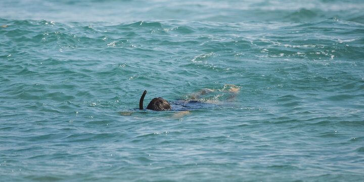 Man Snorkeling in the Ocean During Summer Vacation