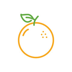 Orange Fruit Simple Line Illustrations
