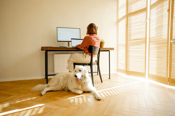 Woman works on computers while sitting by a cozy workplace with her dog at sunny room. Concept of...