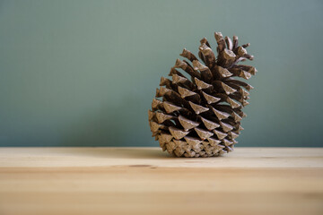 Pinecone on a wooden desk. the window gives a light shadow on the green wall. The cone is leaning...
