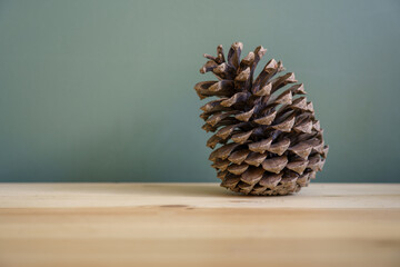 Pinecone on a wooden desk. the window gives a light shadow on the green wall. The cone is leaning...