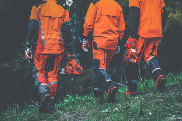 Men walking in the forest holding a chainsaw and garden tools. Lumberjacks at work wears orange personal protective equipment. Gardeners working outdoor in the forest. Security forestry worker concept