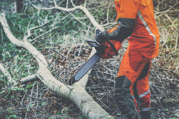 Man holding a chainsaw and cut trees. Lumberjack at work wears orange personal protective...