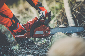 Man holding a chainsaw and cut trees. Lumberjack at work wears orange personal protective equipment. Gardener working outdoor in the forest. Security professionalism occupation forestry worker concept