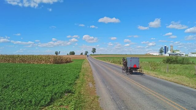 An Amish Horse and Buggy Trotting Away Down a Country Road In Slow Motion on a Beautiful Sunny Day