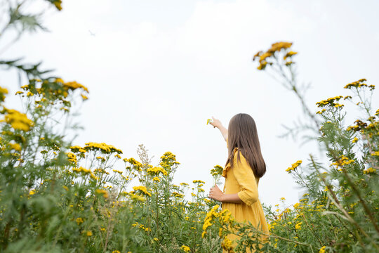 Girl pointing at sky standing in field