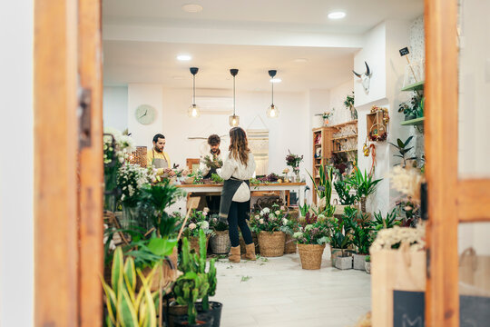 Florists working in flower shop seen though doorway