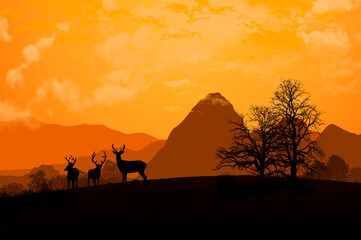 Beautiful landscape with deers in the evening