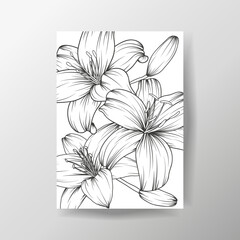 Hand drawn black and white line lily flower composition on white background. Vector illustration for wedding invitation, summer, spring sale, menu, poster design. Romantic spring cover and frame page.