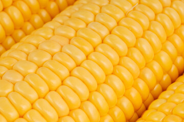 Yellow sweet corn macro background