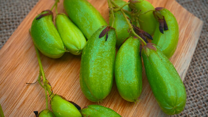 Belimbing wuluh, Vegetable starfruit or sour starfruit (Averrhoa bilimbi L.) are used as cooking spices