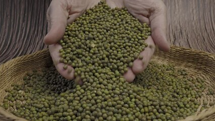 Pile of raw green mung beans or Vigna radiata seeds - Powered by Adobe