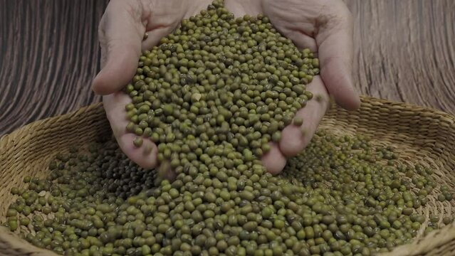 Pile of raw green mung beans or Vigna radiata seeds