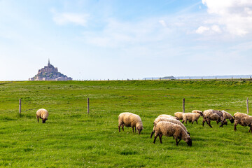 Fototapeta premium Mont Saint-Michel Abbey. France