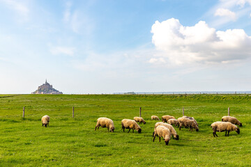 Obraz premium Mont Saint-Michel Abbey. France