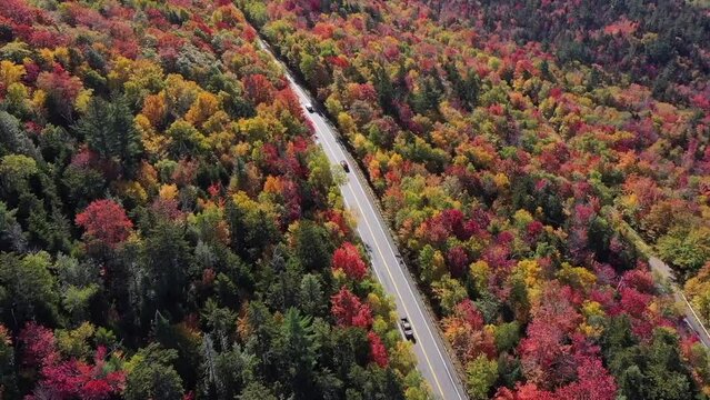 Road trip on Kancamagus highway colorful fall foliage view