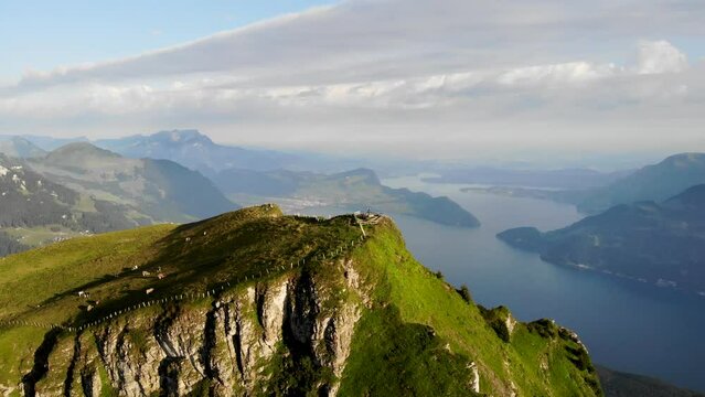 Aerial view of Niederbauen Chulm in Uri, Switzerland with a revealing view of Lake Lucerne and its fjords along with cows grazing on a summer morning in the Swiss Alps