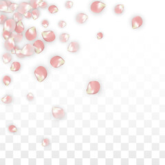 Pink Vector Realistic Petals Falling on Transparent Background.  Spring Romantic Flowers Illustration. Flying Petals. Sakura Spa Design. Blossom Confetti. Design Elements for Wedding Decoration.