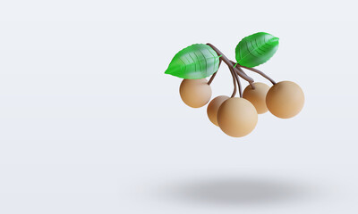 3d Fruits Longan rendering top view