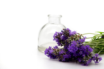 Glass bottle of Lavender essential oil with fresh lavender flowers and dried lavender seeds on white wooden rustic table, aromatherapy spa massage concept. Lavendula oleum