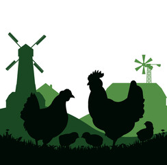 Chickens in pasture. Picture silhouette. Farm pets. Domestic poultry to get eggs. Rural landscape with farmer house. Isolated on white background. Vector