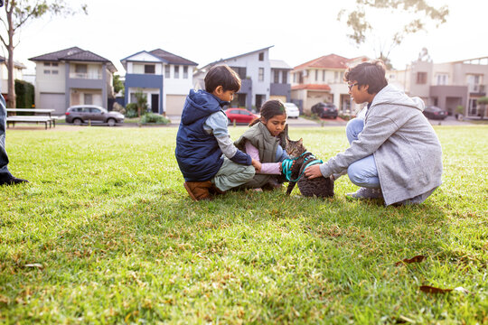 Two Boys And One Girl Wearing Sweater Sitting On A Big Lawn While Playing With The Grey Cat