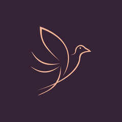 Beautiful flying line art bird vector logo