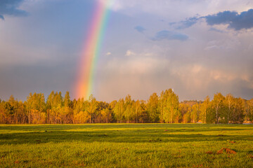 Rainbow over the summer forest at sunset