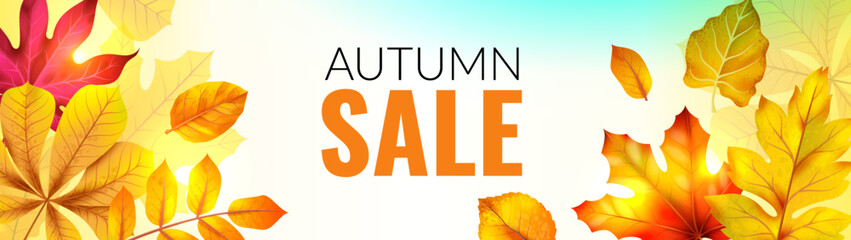 Banner with fall leaves. Autumn season discount offer with red and orange realistic foliage, horizontal poster with copy space, botanical frame. 3D isolated elements, vector illustration