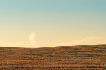 Landscape background with the brown cut wheat field, gradient blue and pale sunset sky and light clouds. Copy space 