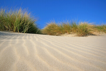 Fototapeta na wymiar Plage La Grande Motte Hérault dunes espaces naturels littoral Occitanie 