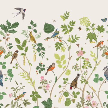 Garden Birds. Mural. Vector vintage illustration.