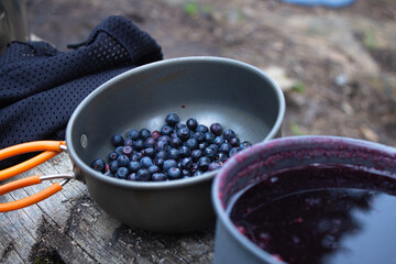 Berries in a bowl. Blueberries