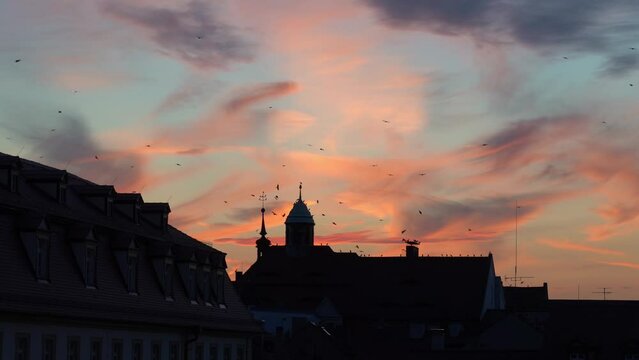 Silhouettes of birds flying over the Bamberg old town buildings at sunset