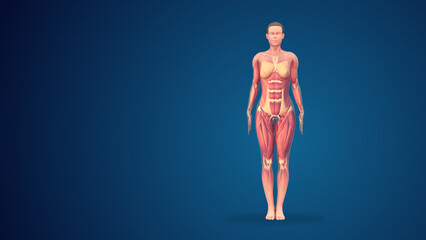 3D human tadasana mountain yoga pose on blue background