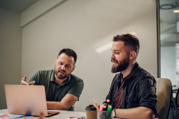 Two male colleagues having a meeting in an office and using a laptop