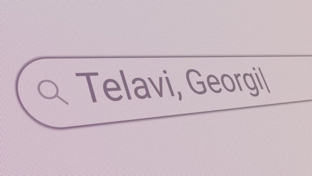 Search Bar Telavi Georgia 
Close Up Single Line Typing Text Box Layout Web Database Browser Engine Concept