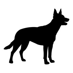 Silueta de perro pastor alemán de pie aislado