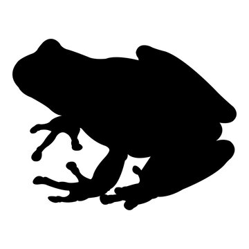 Silueta de rana aislada
