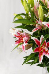 Beautiful large bouquet of pink lilies closeup