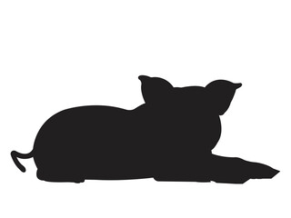 Pig in silhouette on isolated background.