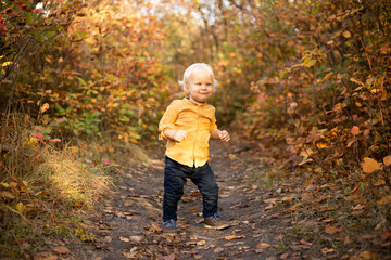 baby toddler boy in autumn forest background with golden trees