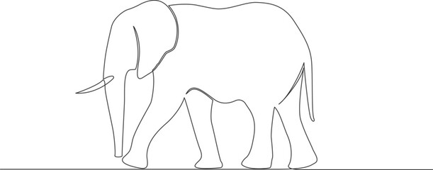 single line drawing of elephant isolated on white background, line art vector illustration