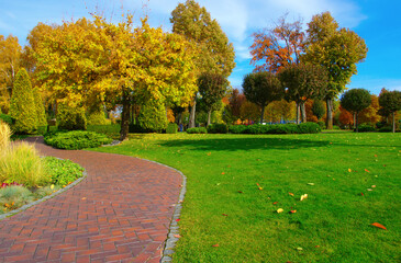 Autumn park with colorful fall foliage