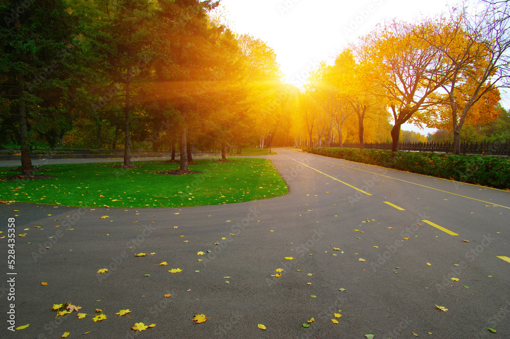 Sticker Autumn road in colorful park on sunset