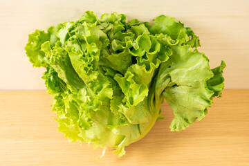 fresh green lettuce