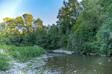 vue d'une rivière en journée