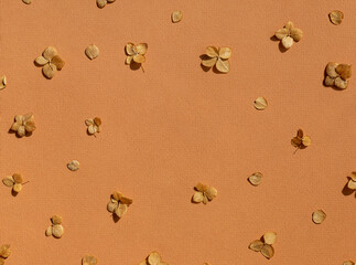Dried autumn small hydrangea flowers on the brown background frame. Top view. Copy space	