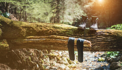 Pair of high trekking high-top boot drying up with wet socks on the felled over forest creek tree...