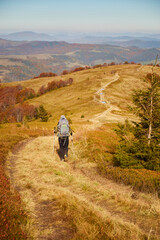 Man walking by mountain trail in Carpathian Mountains, Ukraine. Walking and hiking trails in Borzhava ridge. Rural area of carpathian mountains in autumn